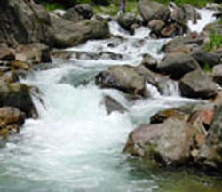 rila_river_new.jpg